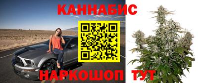 дурь Новокубанск
