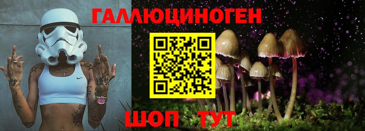 Тосно  Галлюциногенные грибы мухоморы  Вход с VPN 